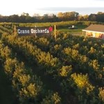 Crane's Orchard