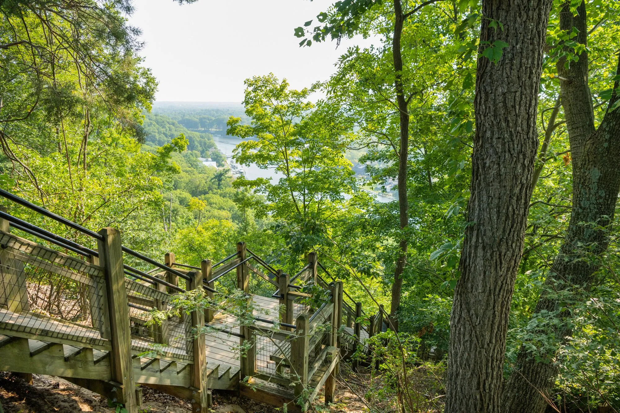 Mount Baldhead Saugatuck Dunes State Park