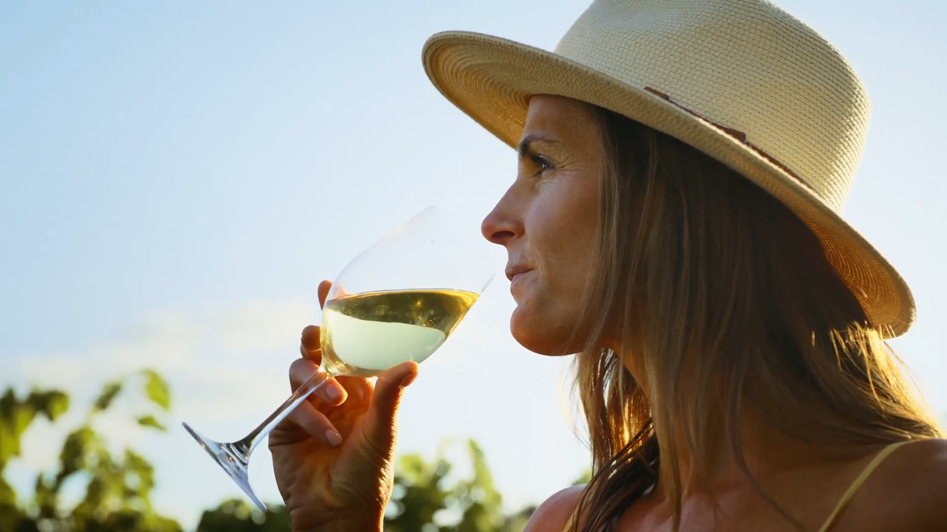 Wine poured into a glass during a tasting