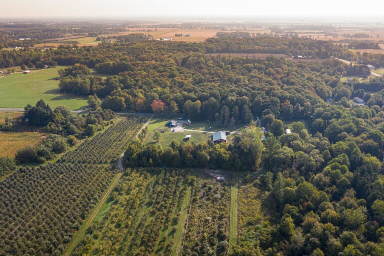 An aerial shot of Evergreen Lane Farm & Creamery.