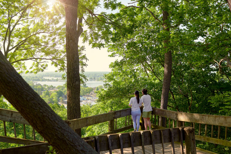 Escape to Nature Along the Art Coast<sup>®</sup>
