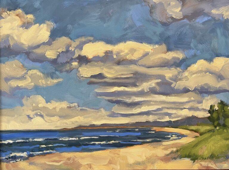 Anne Corlett Artworks