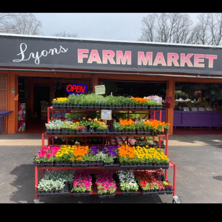 A produce stand outside Lyon's Fruit Market.