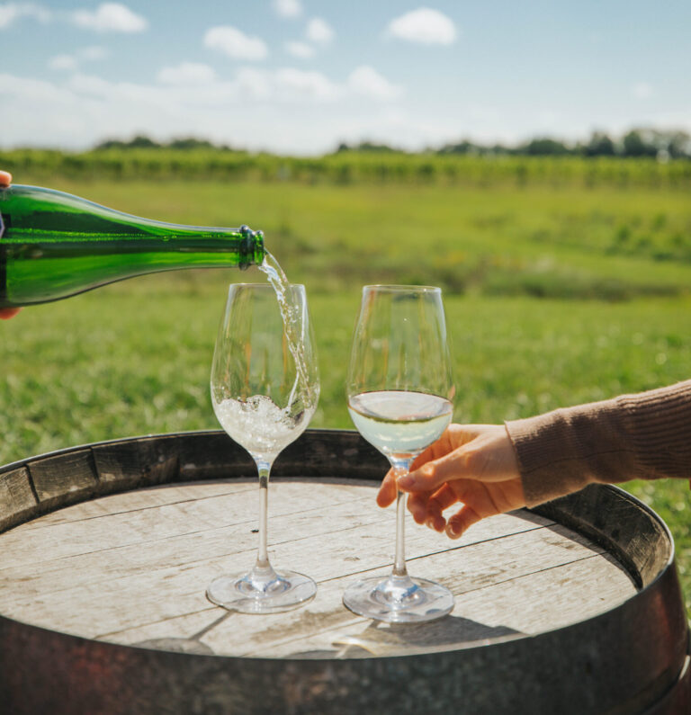 4 Wines Worth Traveling For This Fall