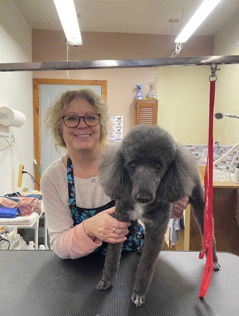 K-Nine Pet Grooming of West Michigan.