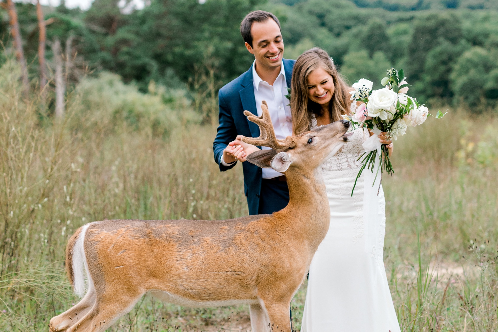 A bride and a groom holding a boutique as a deer surprises them.