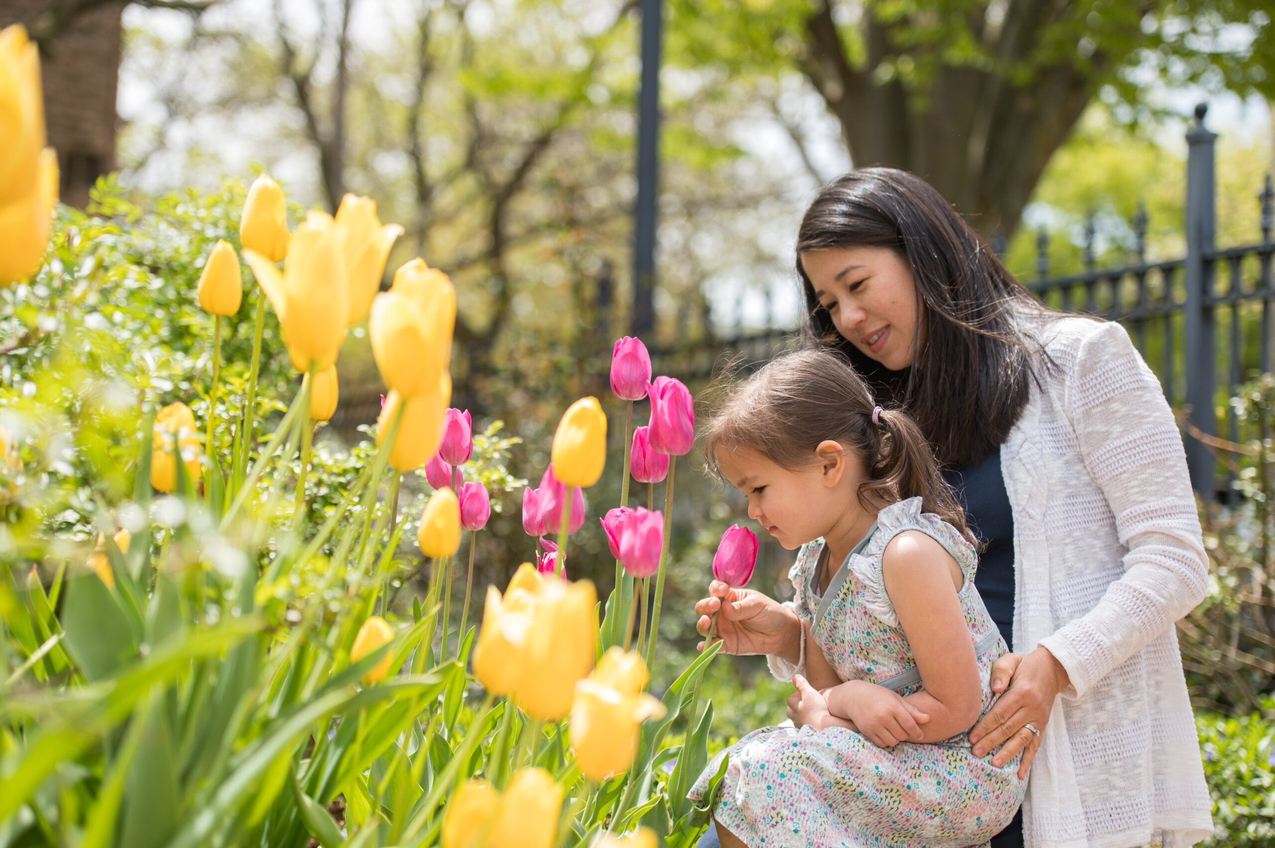 A mother and daughter smelling tulips together.