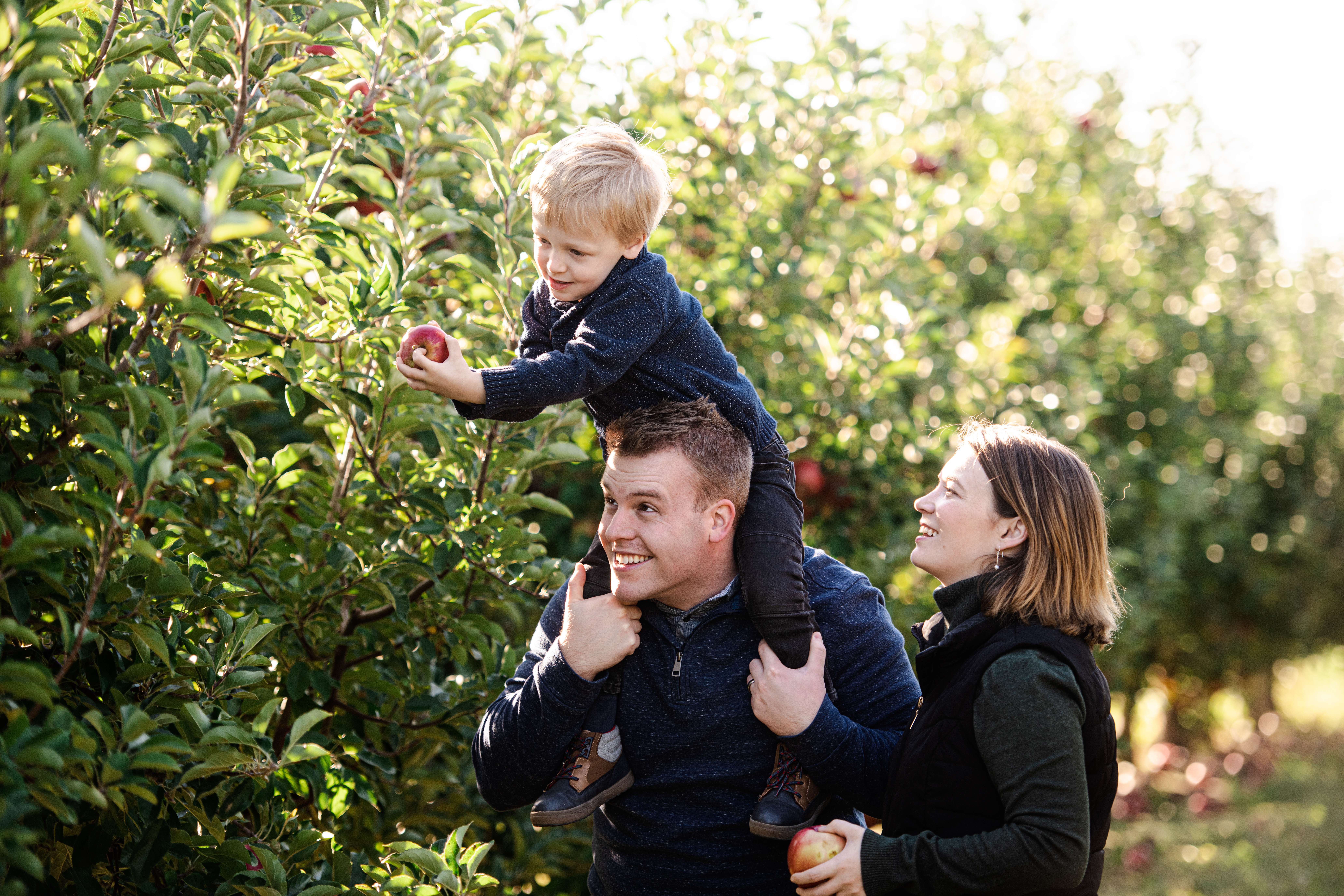 A family picking apples at Cranes Orchard.