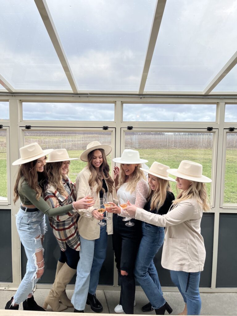 Group of girls toasting wine glasses.