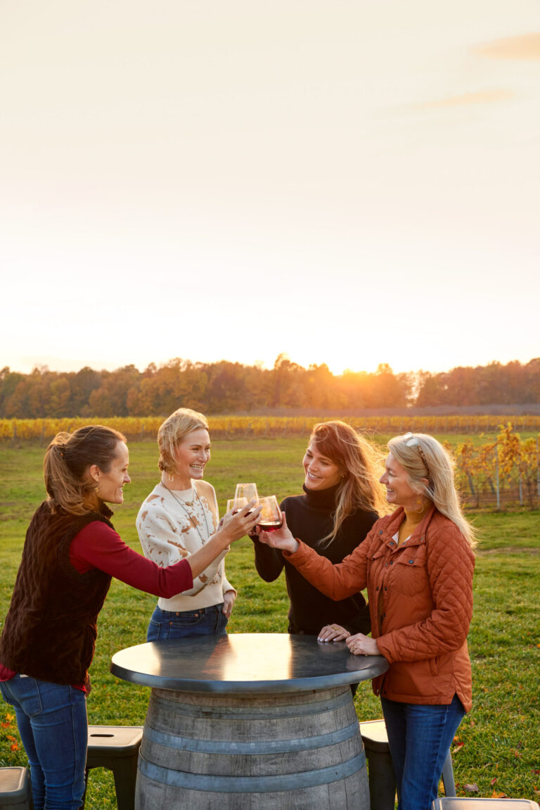 Four girlfriends toasting over drinks.