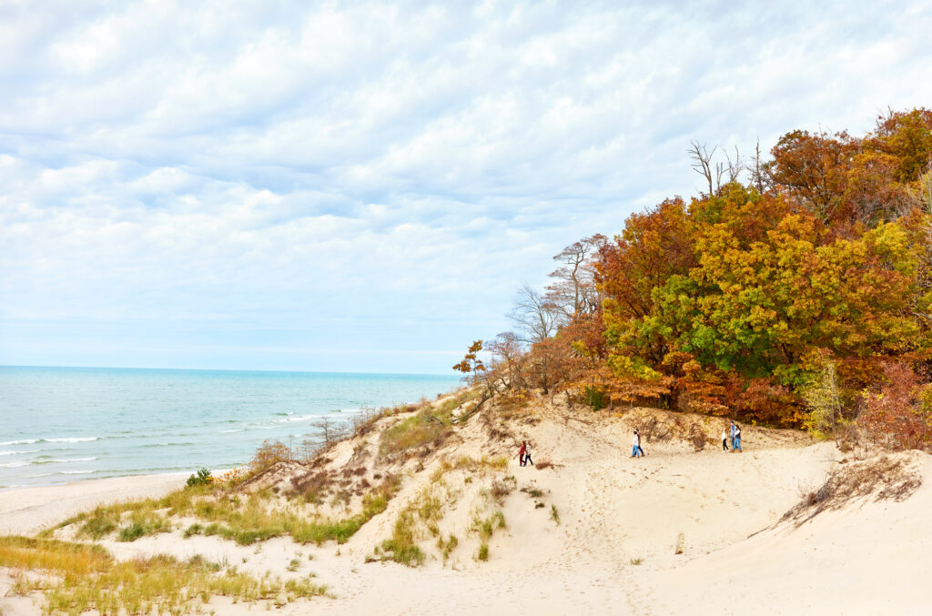 A group of friends hiking to the shore of Saugatuck Dunes State Park.