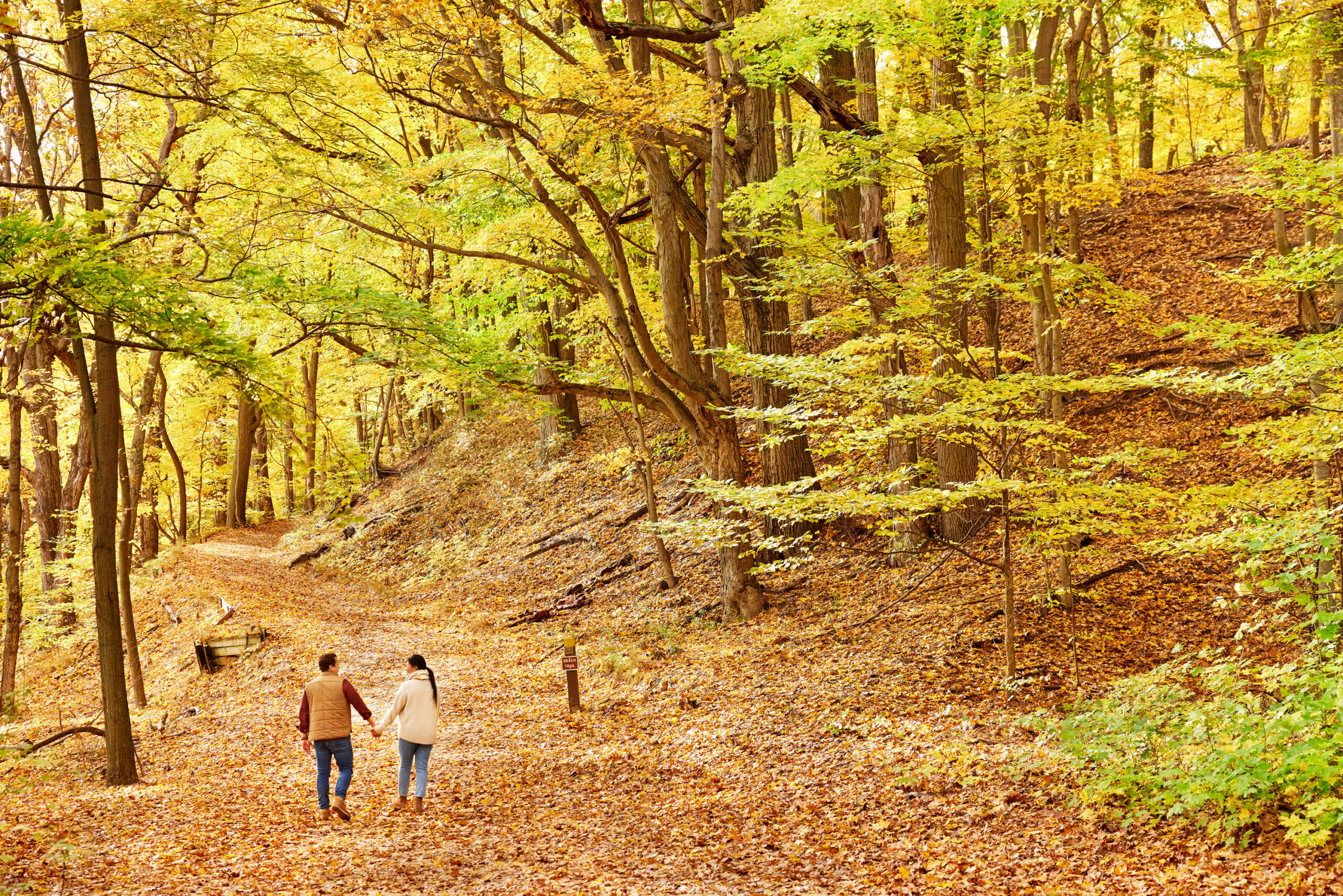 A couple holding hands and hiking in the forest of Saugatuck Dunes State Park.