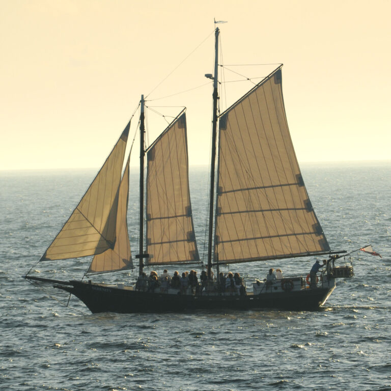 Schoonerserenity Daytime