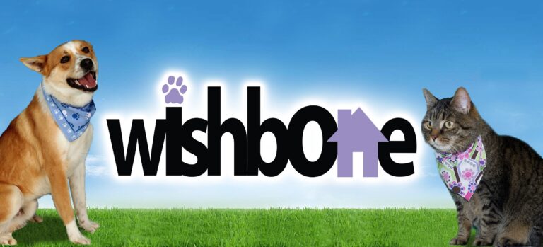 Wishbone