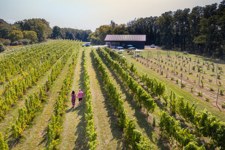 Wine Down In Fennville
