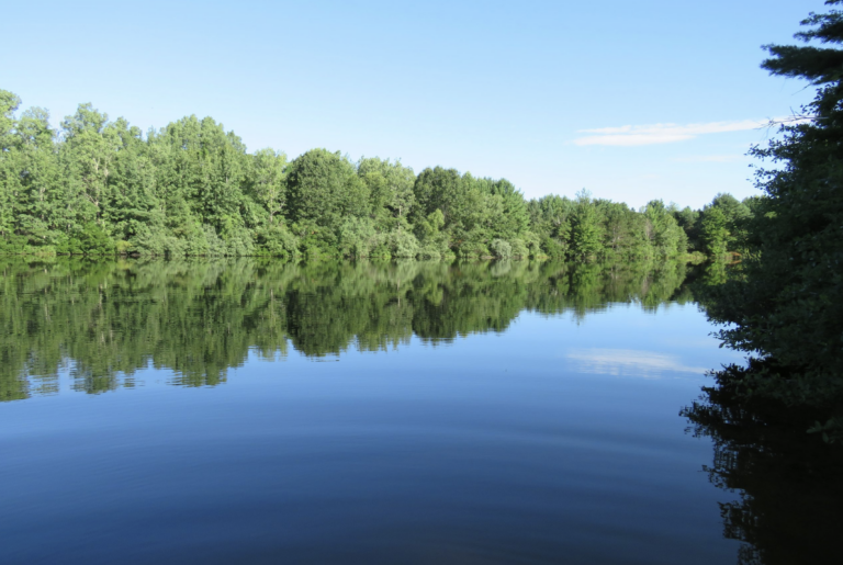 Farview Nature Park