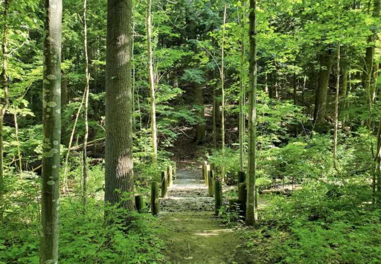 River Bluff Park