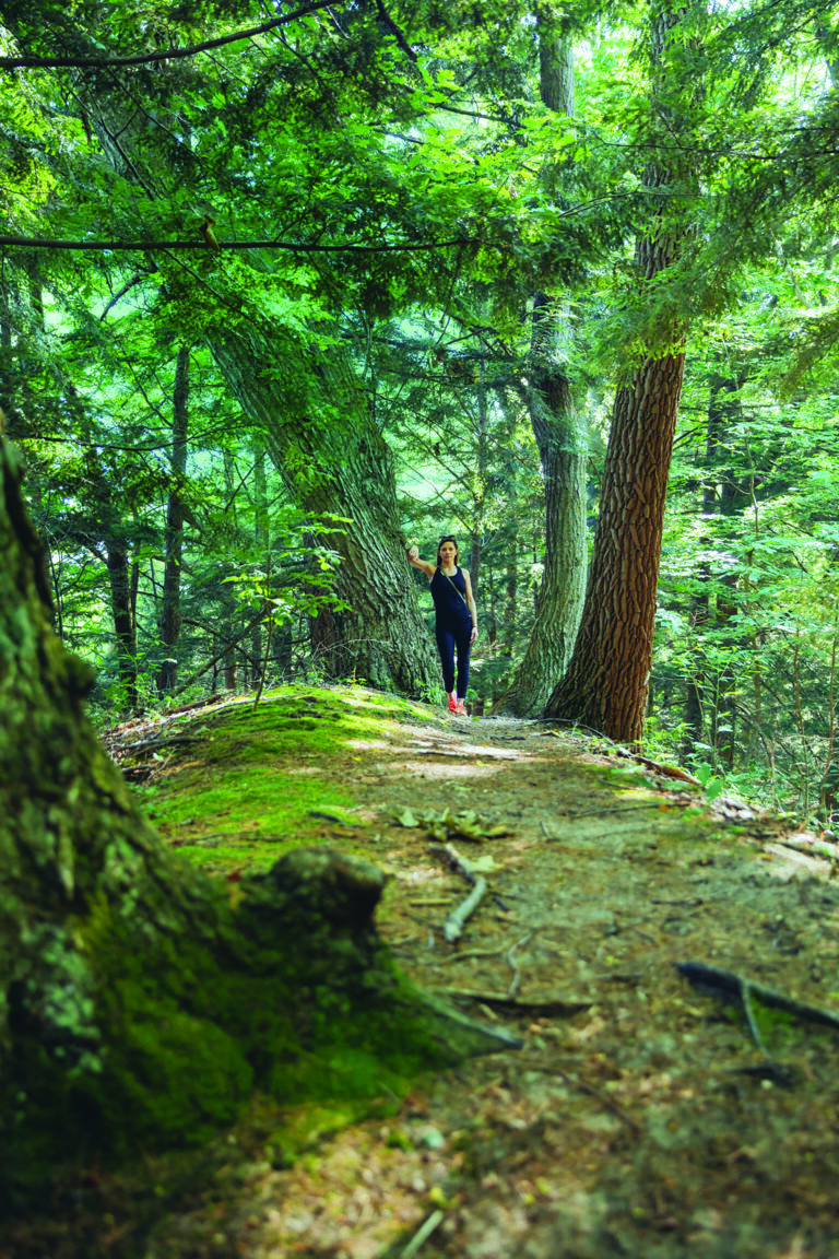 Saugatuck Douglas Fennville Arts Initiative Debuts First Exhibit