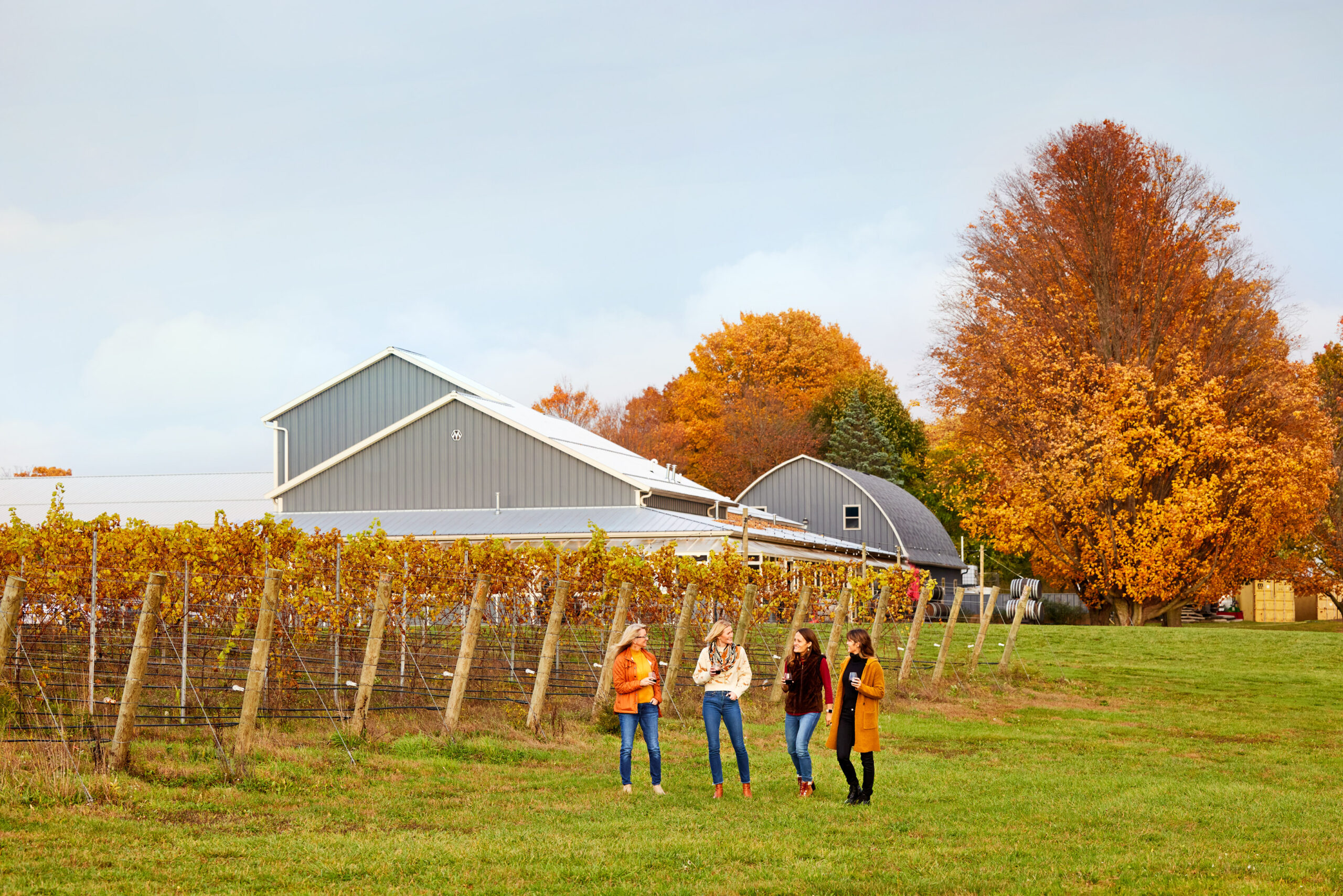 Group of friends walking in vineyard with wine