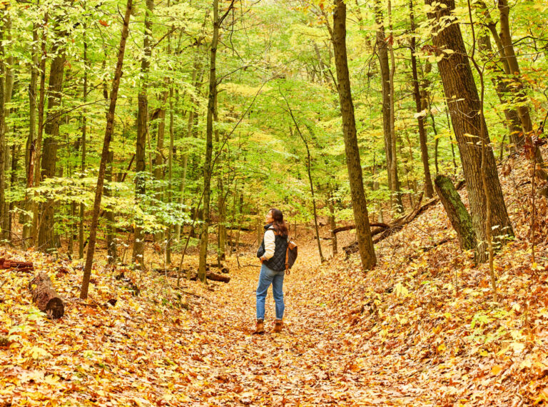 Into the Woods: Forest Bathing In The Art Coast<sup>®</sup>