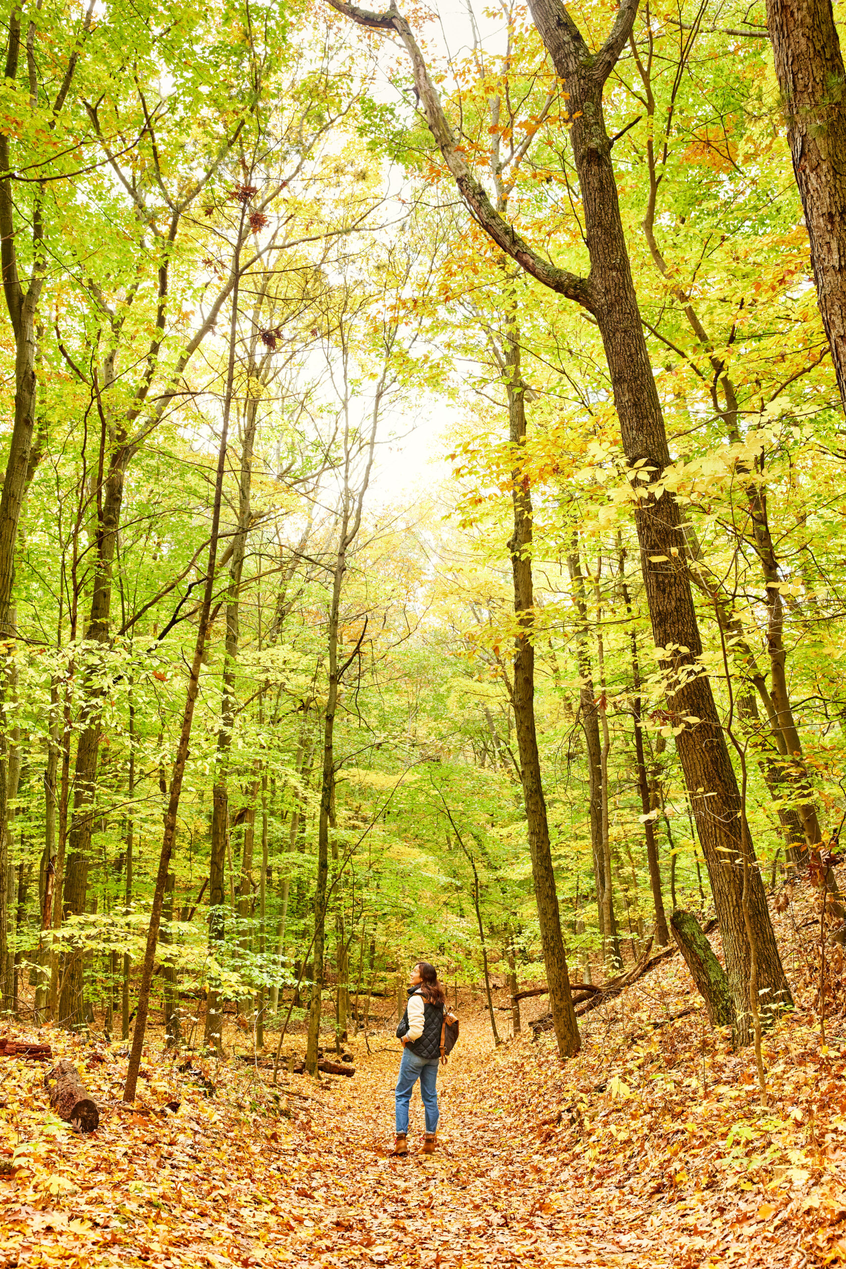 Woman looking up at forest in the State Park