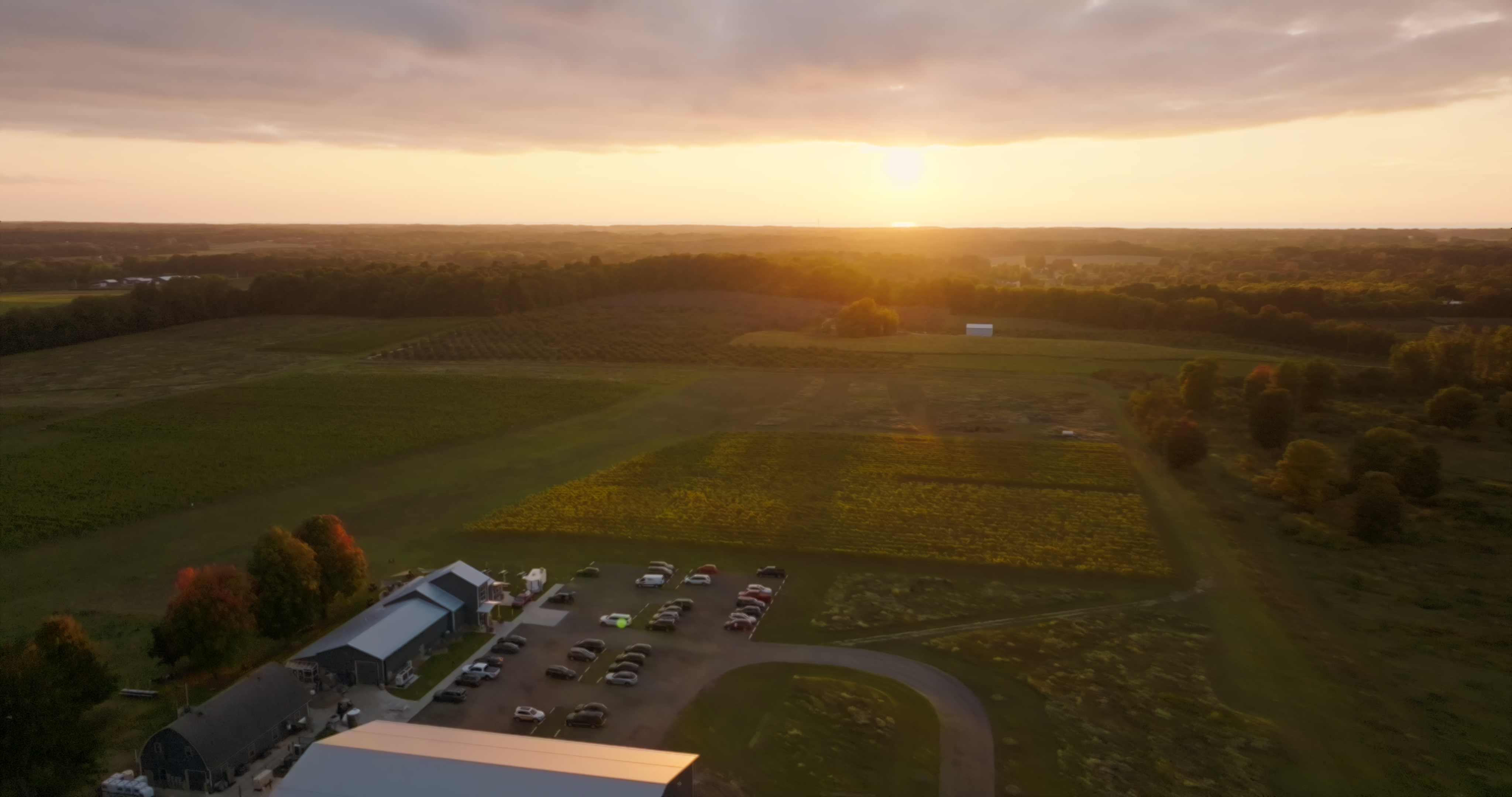 Aerial view of Modales Winery and vineyards