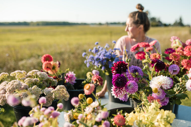 Wild Flower Farm