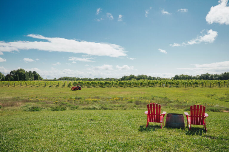 Farm-to-Glass: In Fennville, Local Means Wine