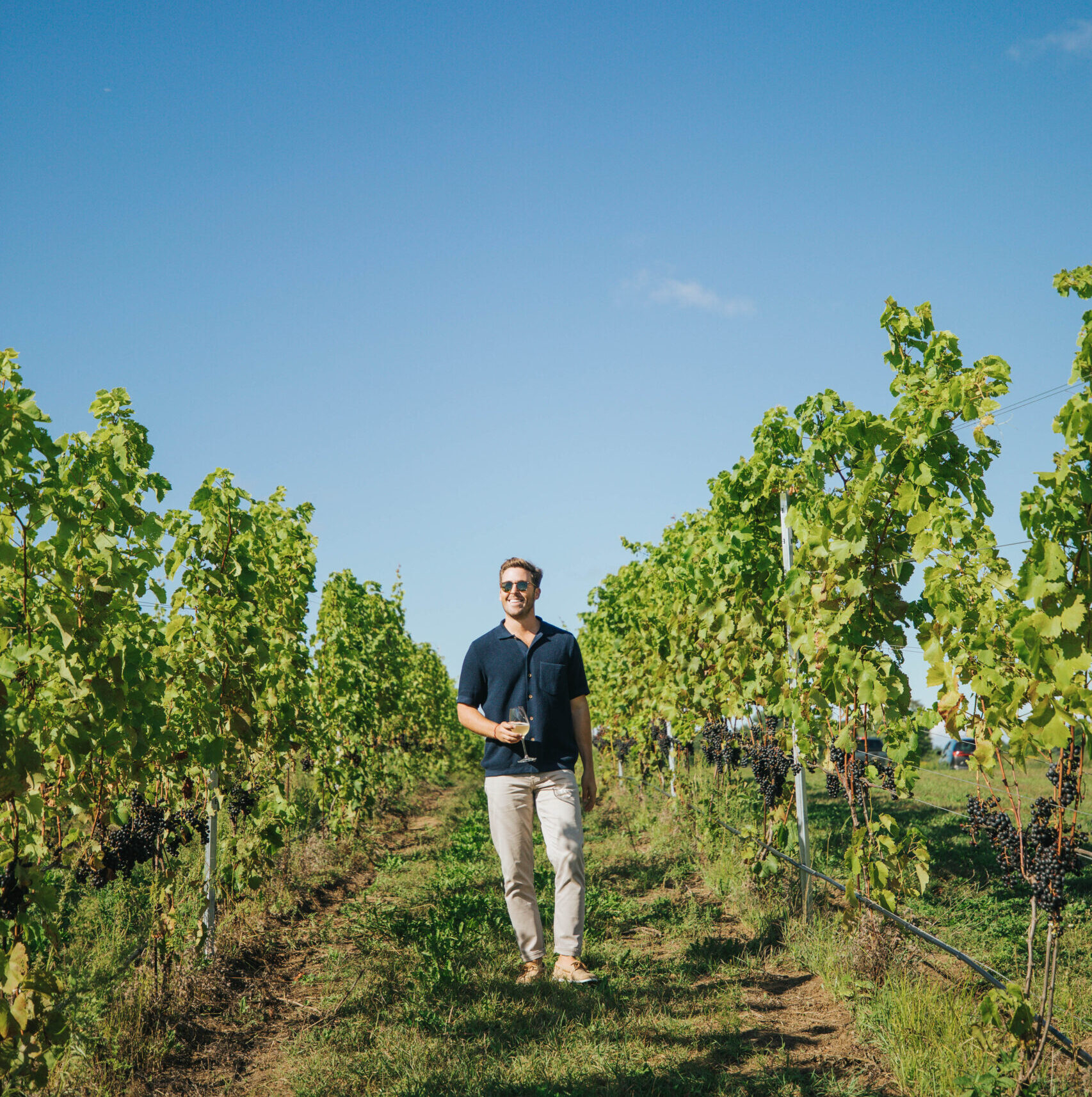 Man standing in vineyard holding a glass of wine at Modales