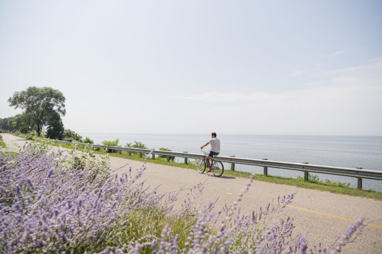 On the Hunt for Wildflowers Along the Art Coast<sup>®</sup>