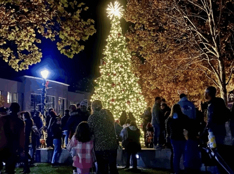 Small Business Saturday & Douglas Light Night