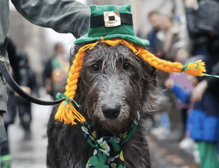 Erin Go Bark People and Pet Parade