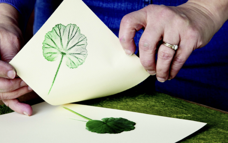 Botanical Pressing in Ink at Ox Bow