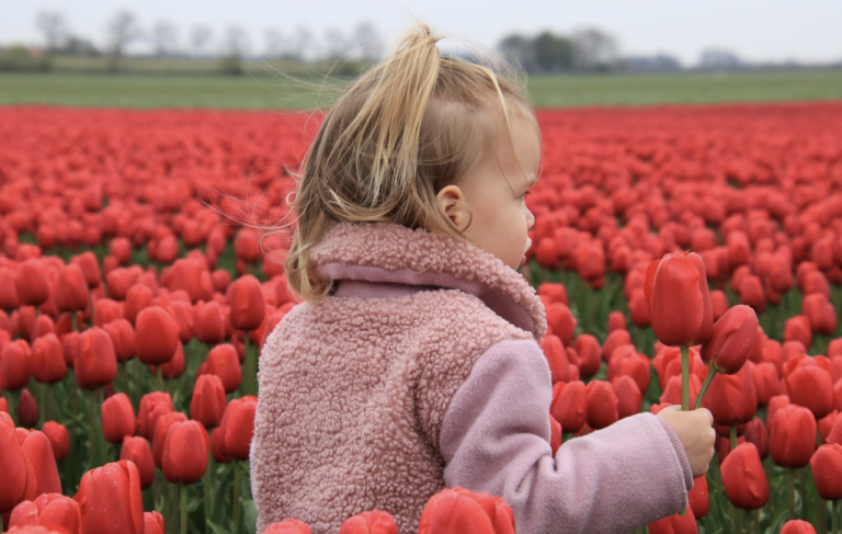 Tulip UPick