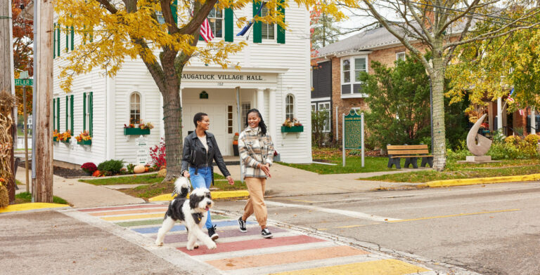 The Ultimate Art Coast® Dog-Friendly Stay Guide