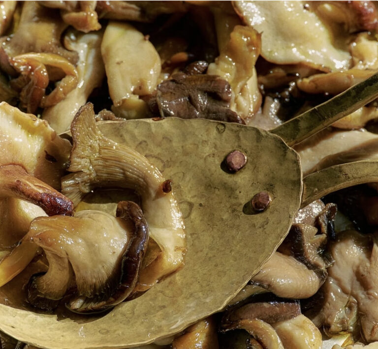 Mushroom 101 Cooking Workshop