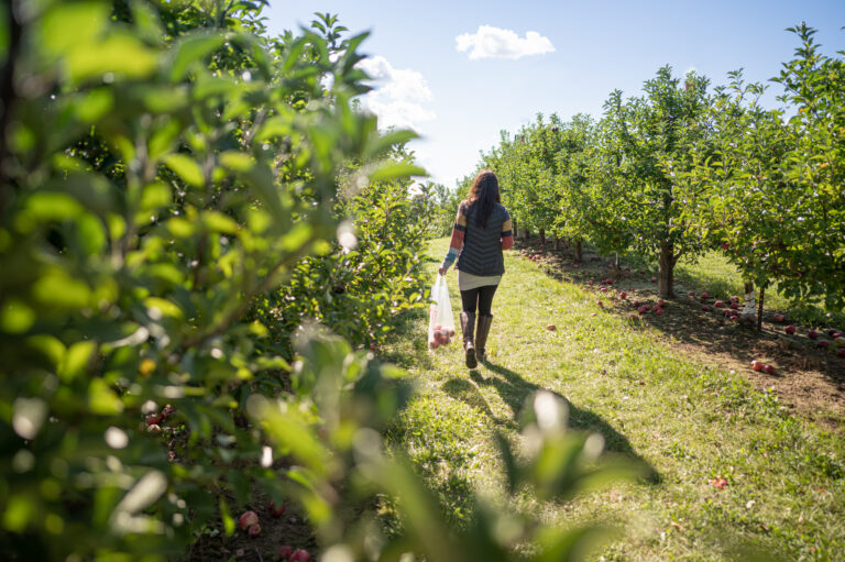Good Things Grow Here: Explore Agritourism on the Art Coast<sup>®</sup>